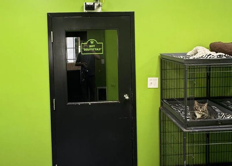 Animal Care Industry cleaned with an Easiwash system